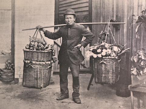 A Chinese-Australian man, c.1880s. He is holding a long wooden pole across his shoulders with baskets of fresh produce hanging from either end of the wooden pole.