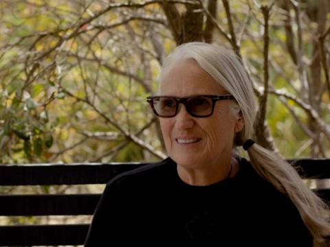 Film director Jane Campion wearing dark glasses and seated on a bench outside being interviewed