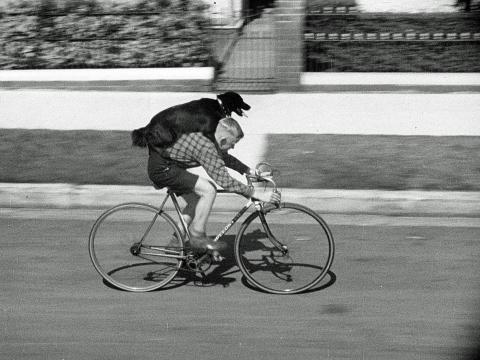 Boy riding a bike in Sydney with his pet dog on his back in 1938.