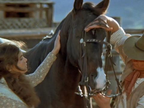 Sigrid Thornton and Tom Burlinson with a black horse in a scene from 'The Man From Snowy River'. Sigrid is patting the horse while Tom puts a bridle over its head.