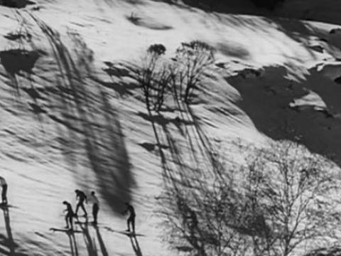 A group of skiers stand on a snowy mountain surrounded by the shadows of nearby trees