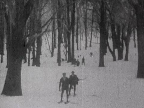 Several people skiing towards the camera through a forest