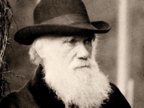 Image of Charles Darwin wearing a hat