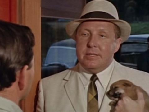 Frank Thring, dressed in a pale suit and panama hat and holding a small puppy, stands talking in a doorway