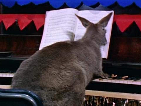 Skippy the kangaroo seated at a piano, paws resting on the keys