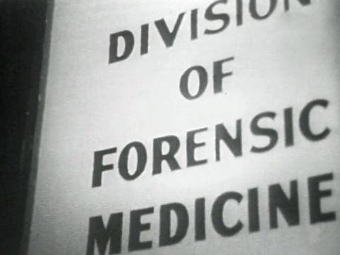 A glass panel in a door with a sign on it that says 'Division of Forensic Medicine'.