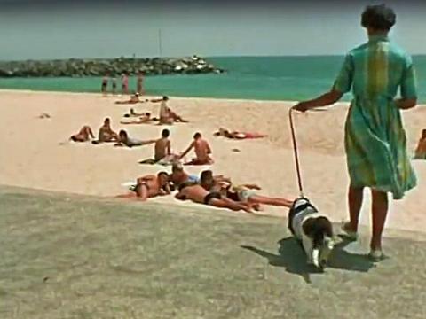 A middle aged woman walks her basset hound on a grassy area near a beach in Perth, circa 1960. People lie on the sand in front of the water in the background. 