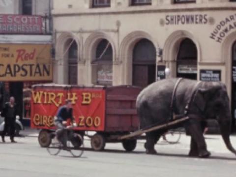 An elephant pulling a circus wagon through a street