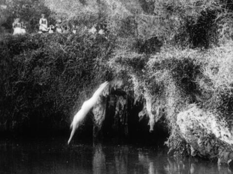 Black and white image of a woman diving into the water in outdoor natural surroundings. Children watch on from above.