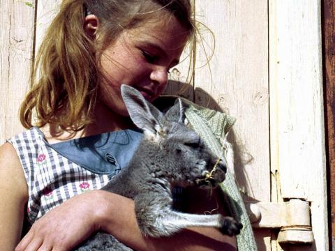 Close up of a school girl, around 10 years of age, cradling a Joey in her arms. The image is a still from the 1955 film 'Nullabor Hideout'.