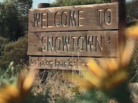 Wooden sign with the words "Welcome to Snowtown" carved into it, sitting among some trees and bushes.