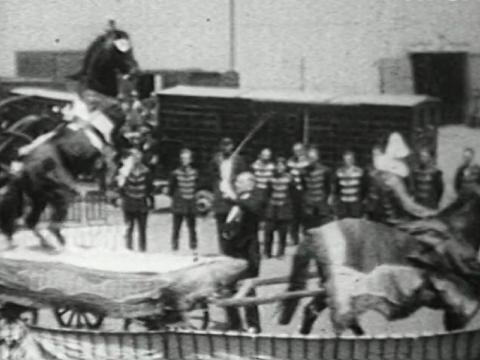 Horses race around a circus ring.