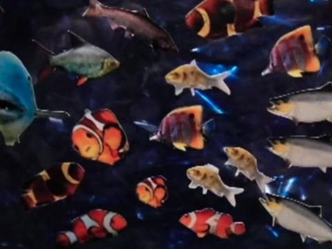 Animation still of cutouts of various fish.