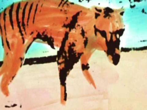 Colourful illustration of a Tasmanian Tiger
