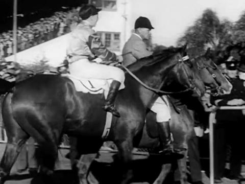 Horseracing at Doomben. Champion racehorse Bernborough has just won the 1947 Ahern Memorial 10,000