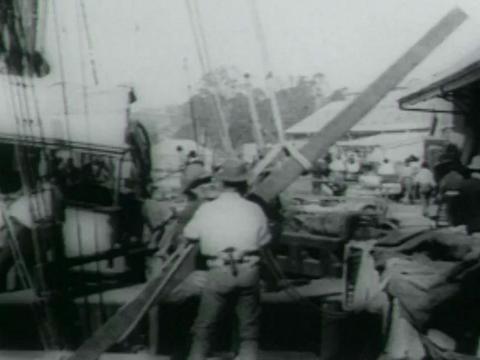 Still taken from footage filmed in 1899 showing the unloading of timber spars from the SS Katoomba at a busy wharf in Brisbane.