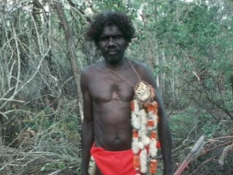Bare chested aboriginal man carrying ceremonial items