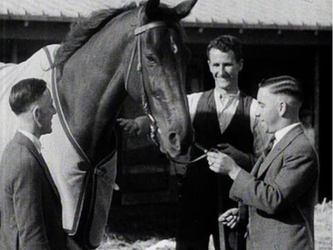 Three men, including strapper Tommy Woodcock and jockey Jack Martin stand with racehorse Phar Lap. One of them, jockey Billy Elliot, is offering a pipe to Phar Lap. Phar Lap looks bemused but patient.