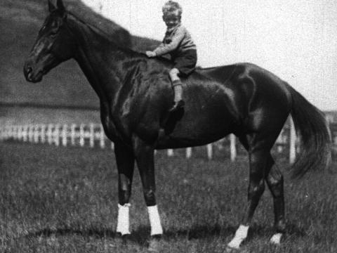 A small boy rides on the back of mighty racehorse Phar Lap in an outdoor setting.