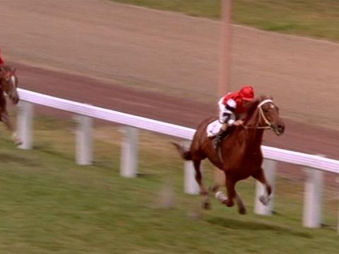 A horse playing Phar Lap out in front at a recreation of the 1930 Melbourne Cup in the film Phar Lap.