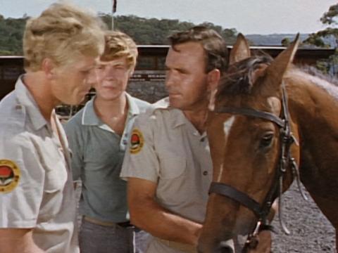Three men standing next to a horse.