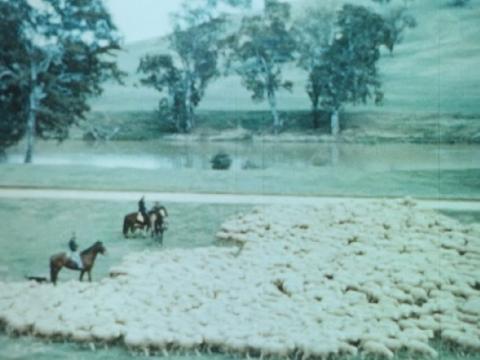Men mustering sheep on horseback.