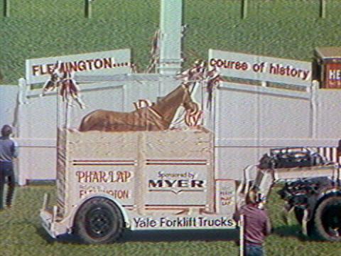 Phar Lap's stuffed hide on parade at Flemington Racecourse in 1980.