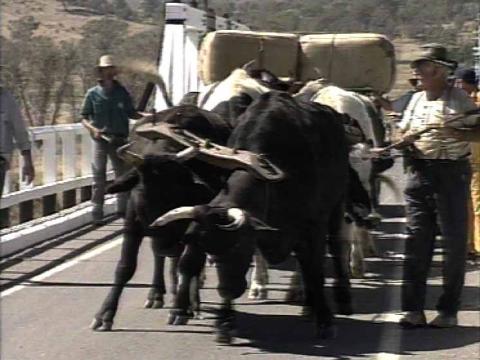 Tharwa Bridge Centenary celebrations
