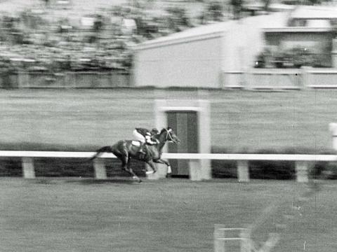 Phar Lap racing in the 1930 Melbourne Cup
