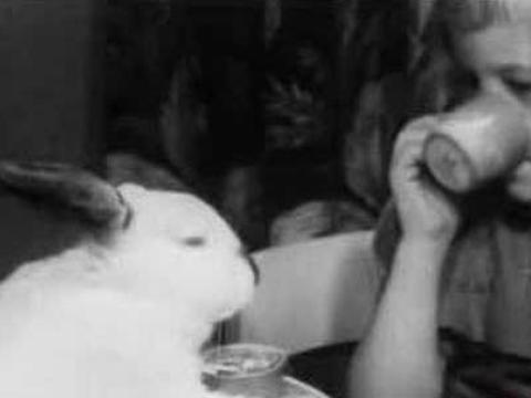A large white rabbit sits next to a little girl who is drinking a cup of tea as part of a tea party