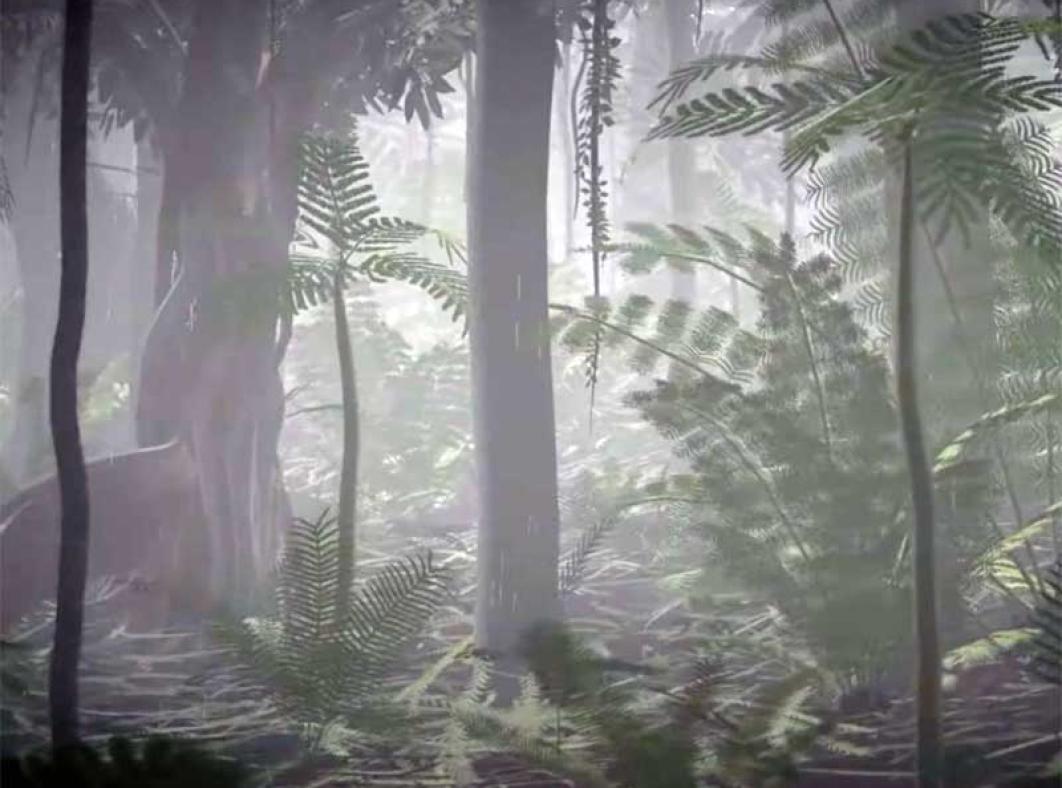 A misty rainforest