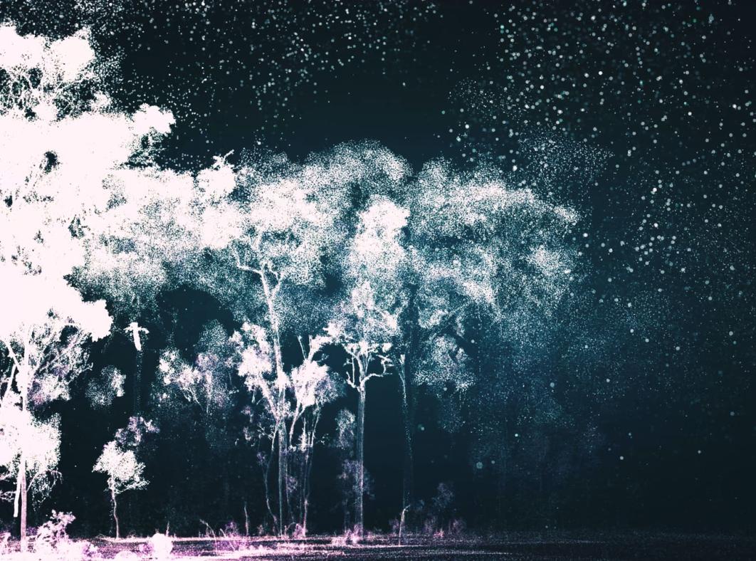A negative image 3D projection of trees in a forest under a night sky