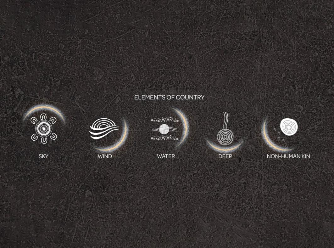 Graphic featuring symbols for the elements of country - sky, wind, water, deep, non-human kin