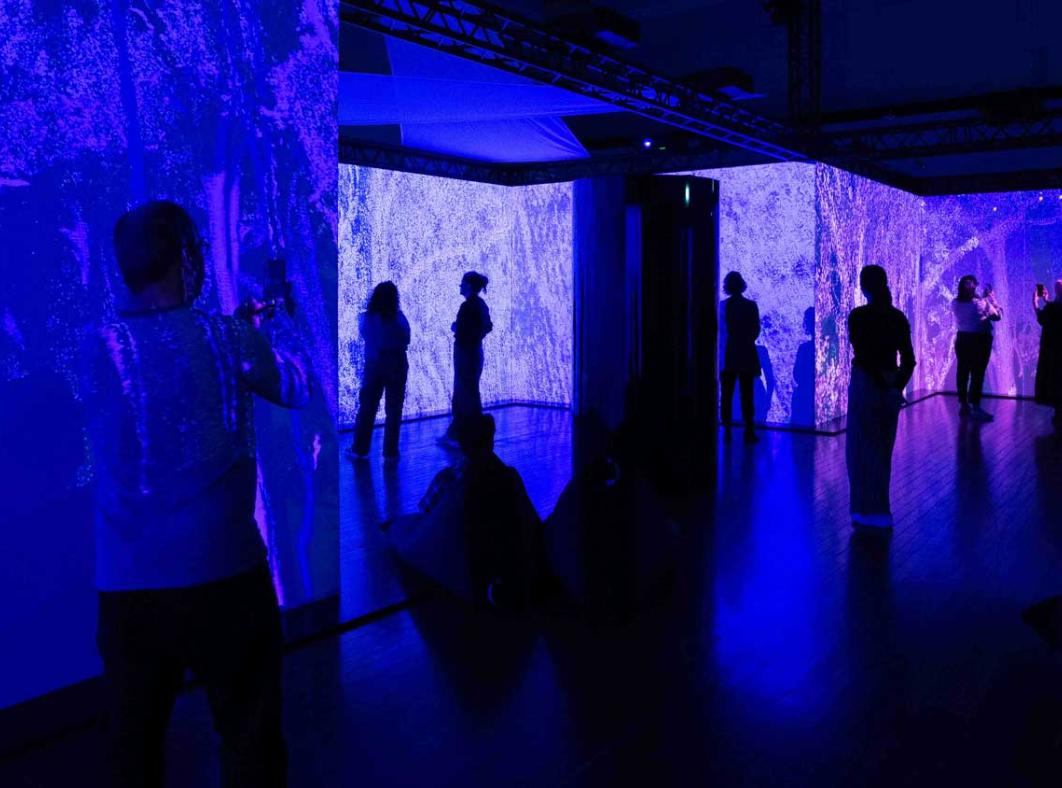 Patrons in the Ghost Trees exhibition at the NFSA. They are standing in a darkened gallery surrounded by blue and pink projections of forest trees.