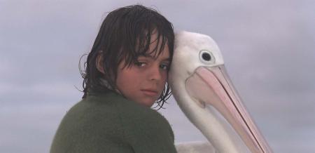 Storm Boy sits with his head resting against that of a pelican