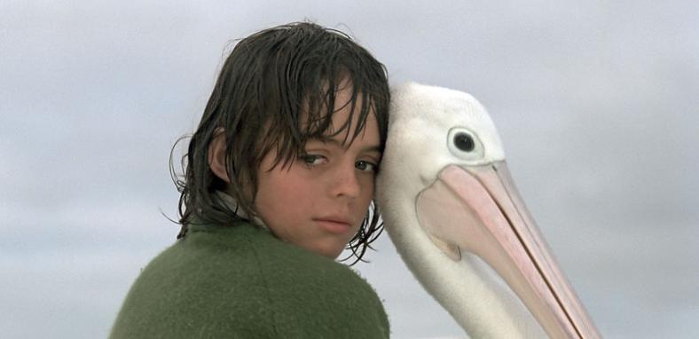 A boy and a pelican on a beach in a scene from Storm Boy