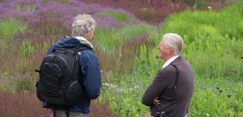 Still from Five Seasons: The Gardens of Piet Oudolf 