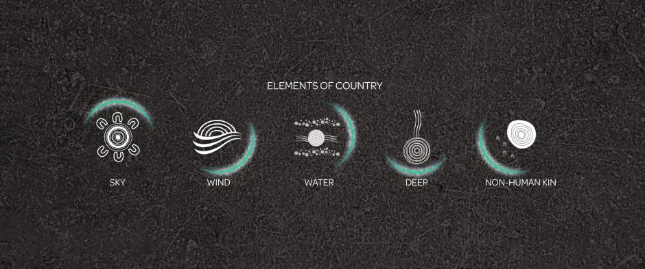 A diagram showing Elements of Country with First Nations circular symbols for Sky, Wind, Water, Deep and Non-human kin