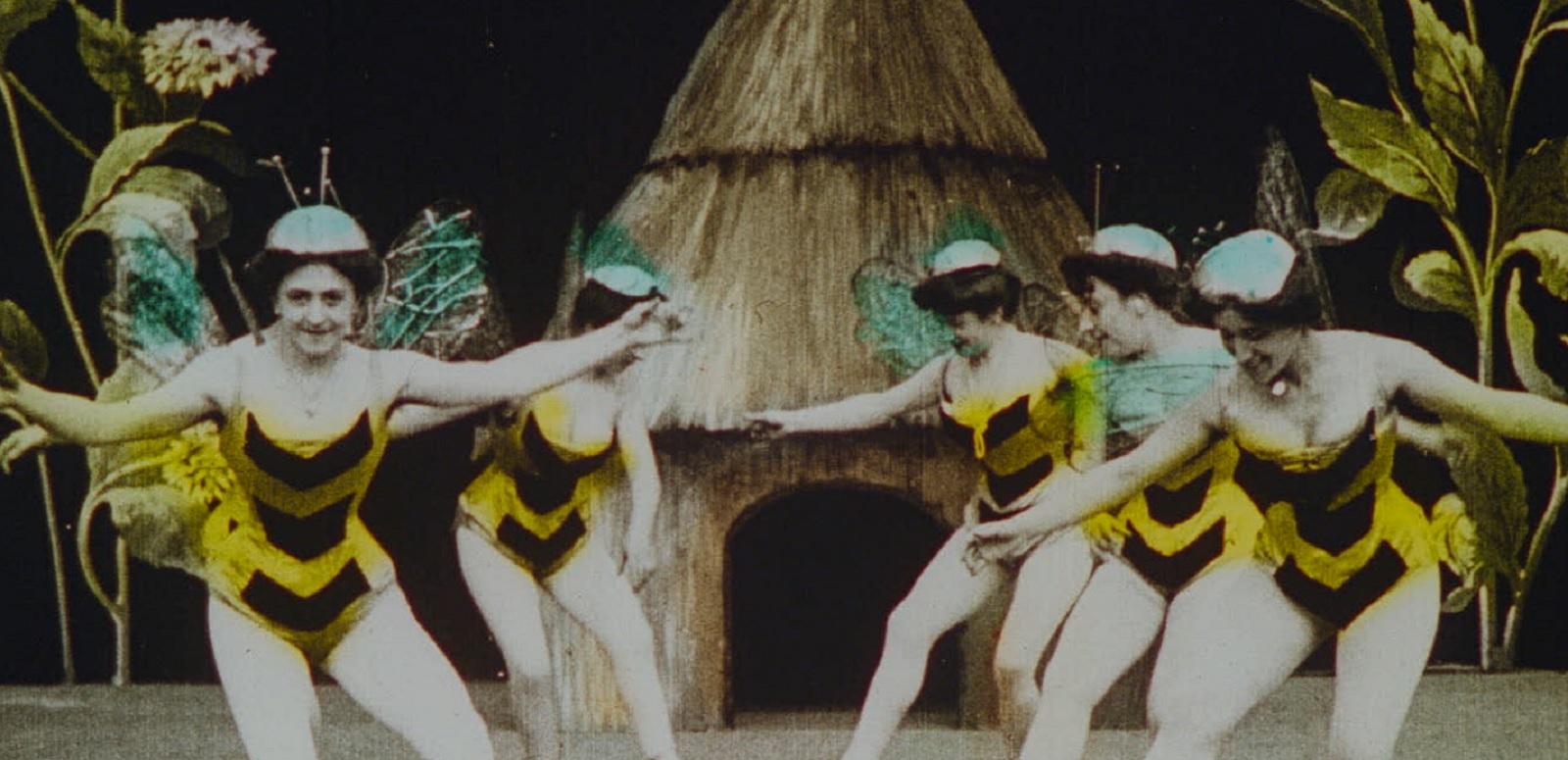 La Ruche Merveilleuse Five women dressed as bees, dancing in front of a hut, with giant flowers in the background
