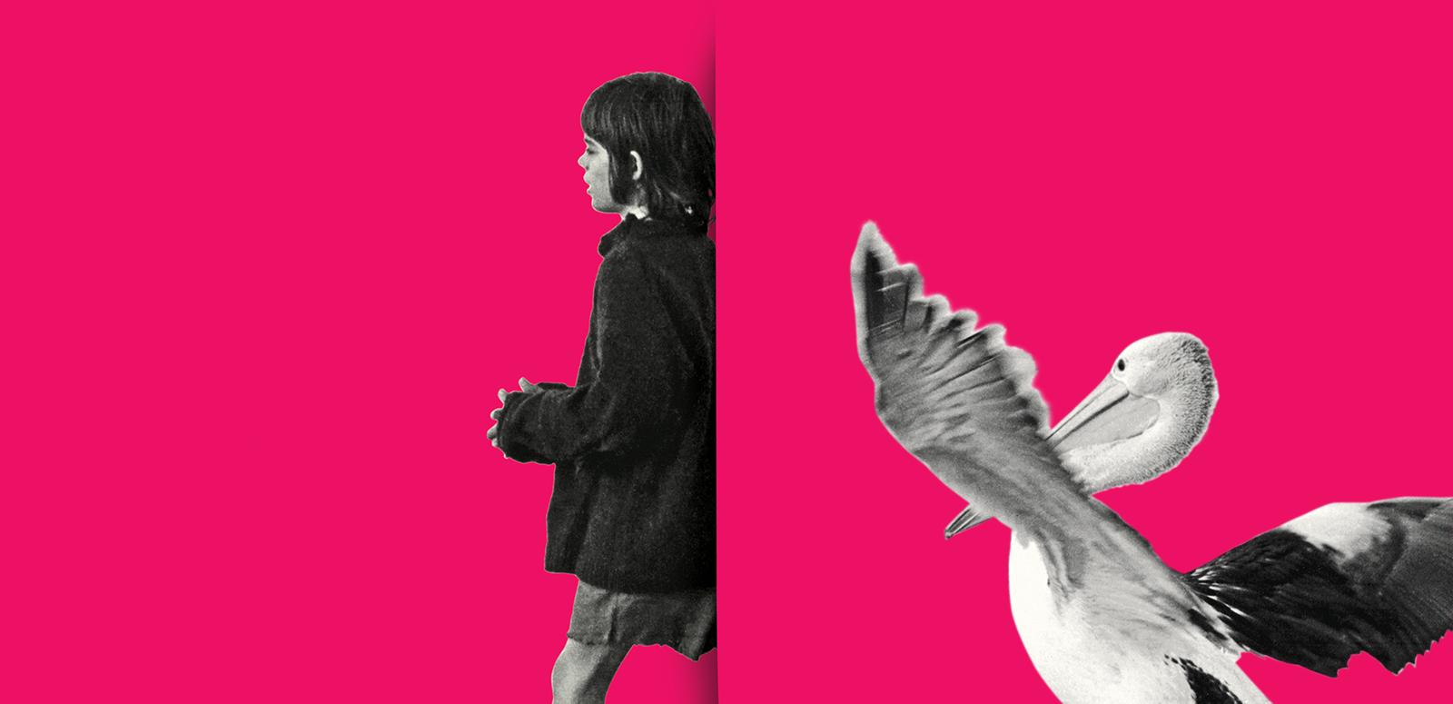 Annual Report 2016 - 17 cover image
