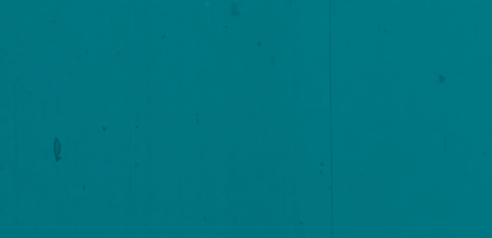 graphic image with white text reads ' faded silver' on a teal background.