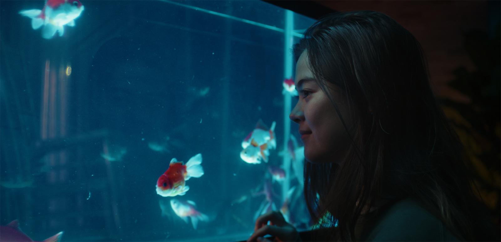 Close up of a young woman looking through a fish tank at a goldfish.