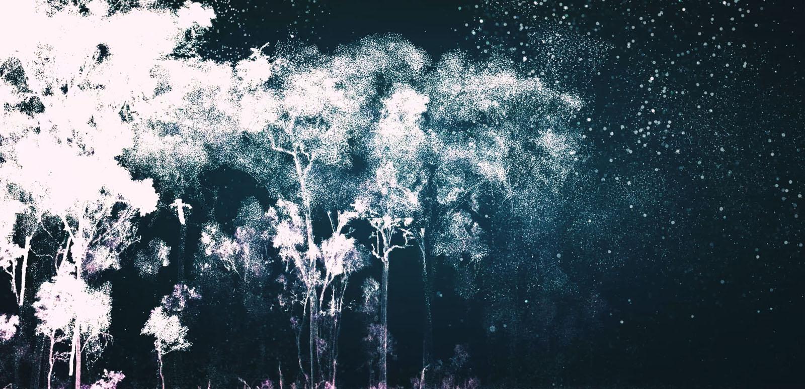 A negative image 3D projection of trees in a forest under a night sky