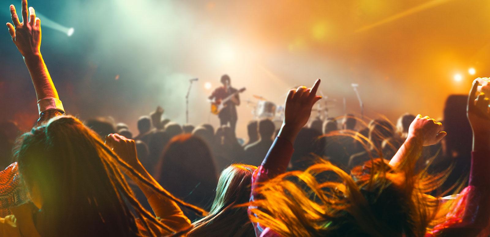 Crowd of people at a rock concert