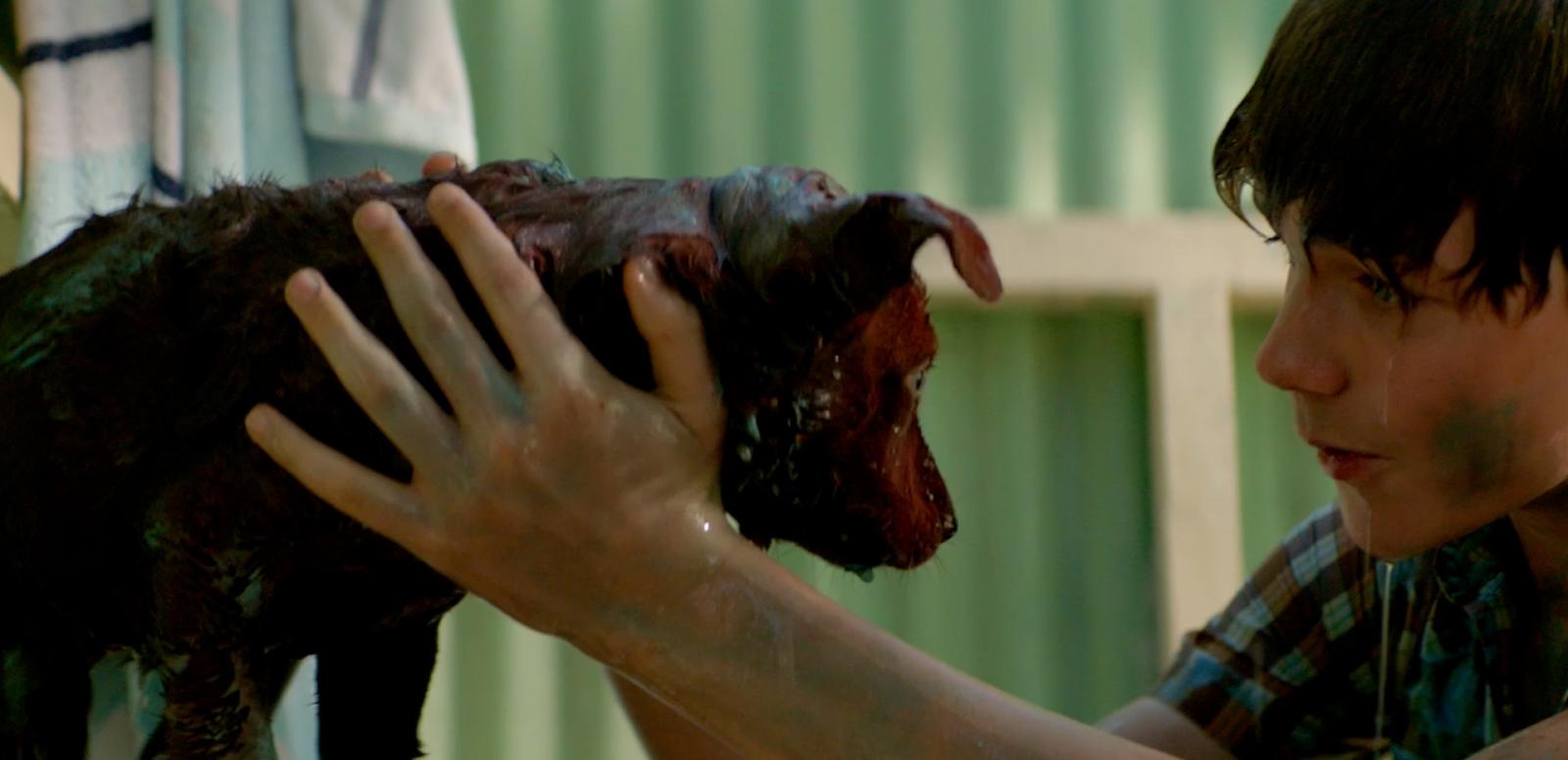 A boy washes down a young puppy. Both of them are wet with mud smeared and smudged on them. In the background is a corrugated green wall.