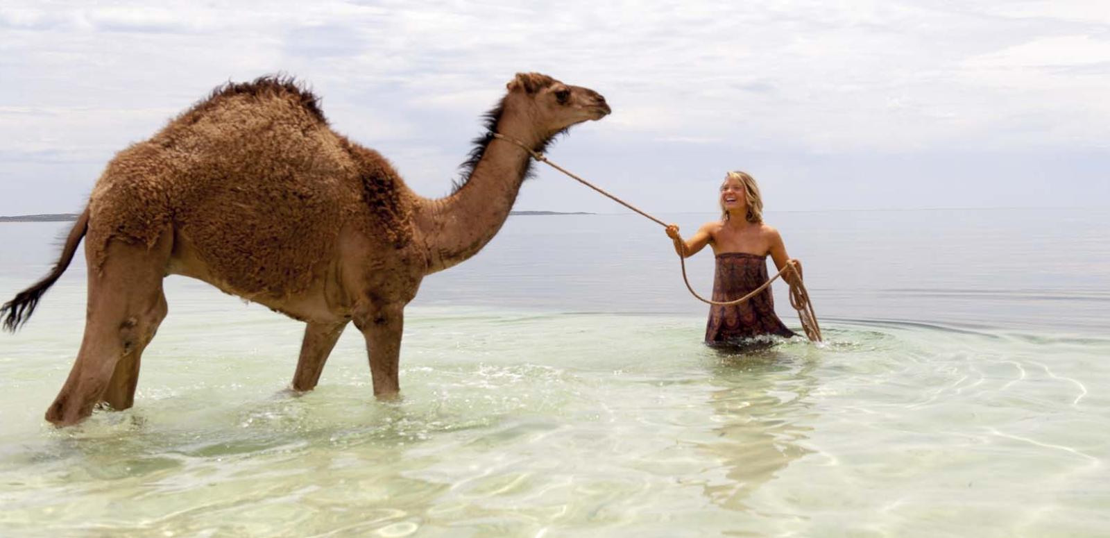 Mia Wasikowska leads a camel in the ocean in a scene from the film Tracks Mia Wasikowska leads a camel in the ocean in a scene from the film Tracks