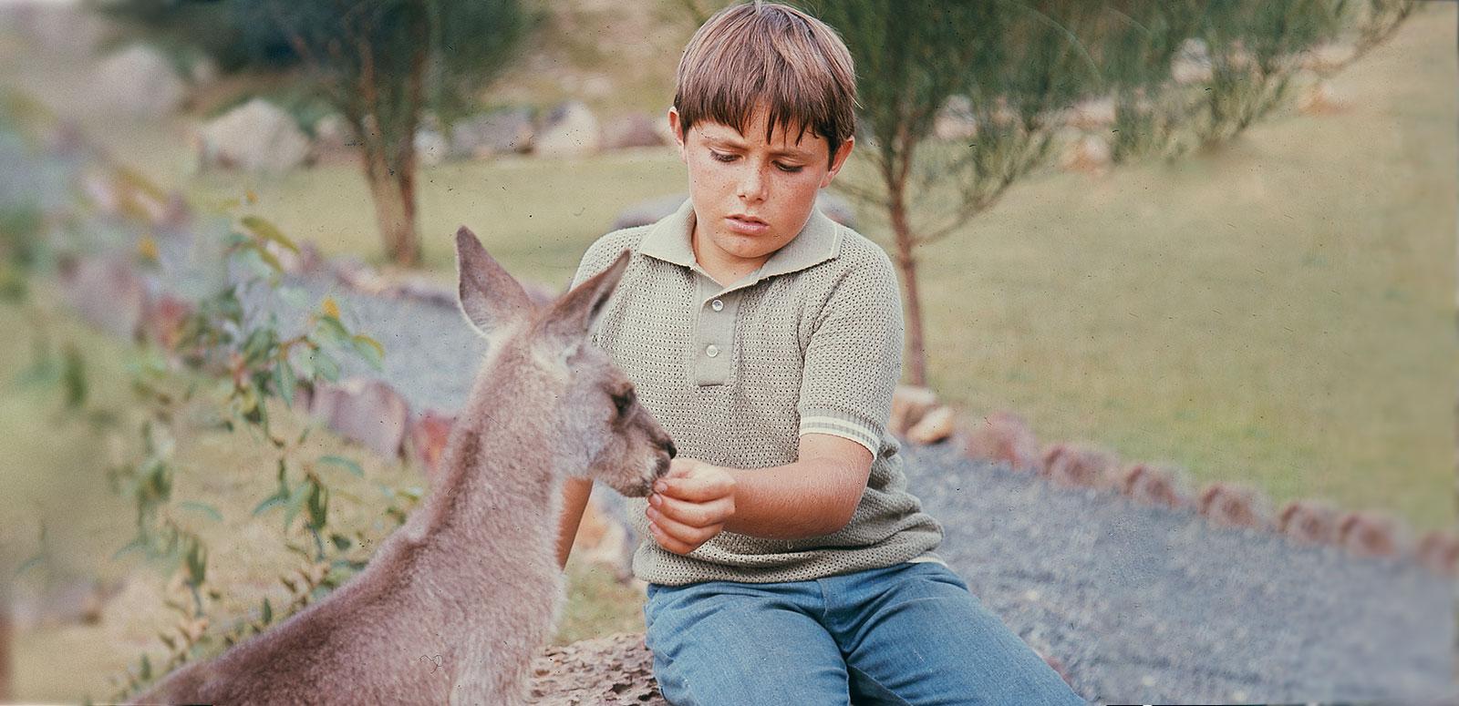 Sonny sitting in a garden hand-feeding Skippy the kangaroo Sonny sitting in a garden hand-feeding Skippy the kangaroo