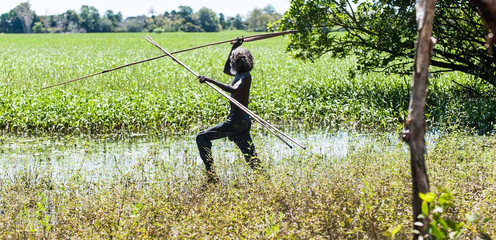 David Gulpilil, spear raised, stalking his prey through the Arafura swamp