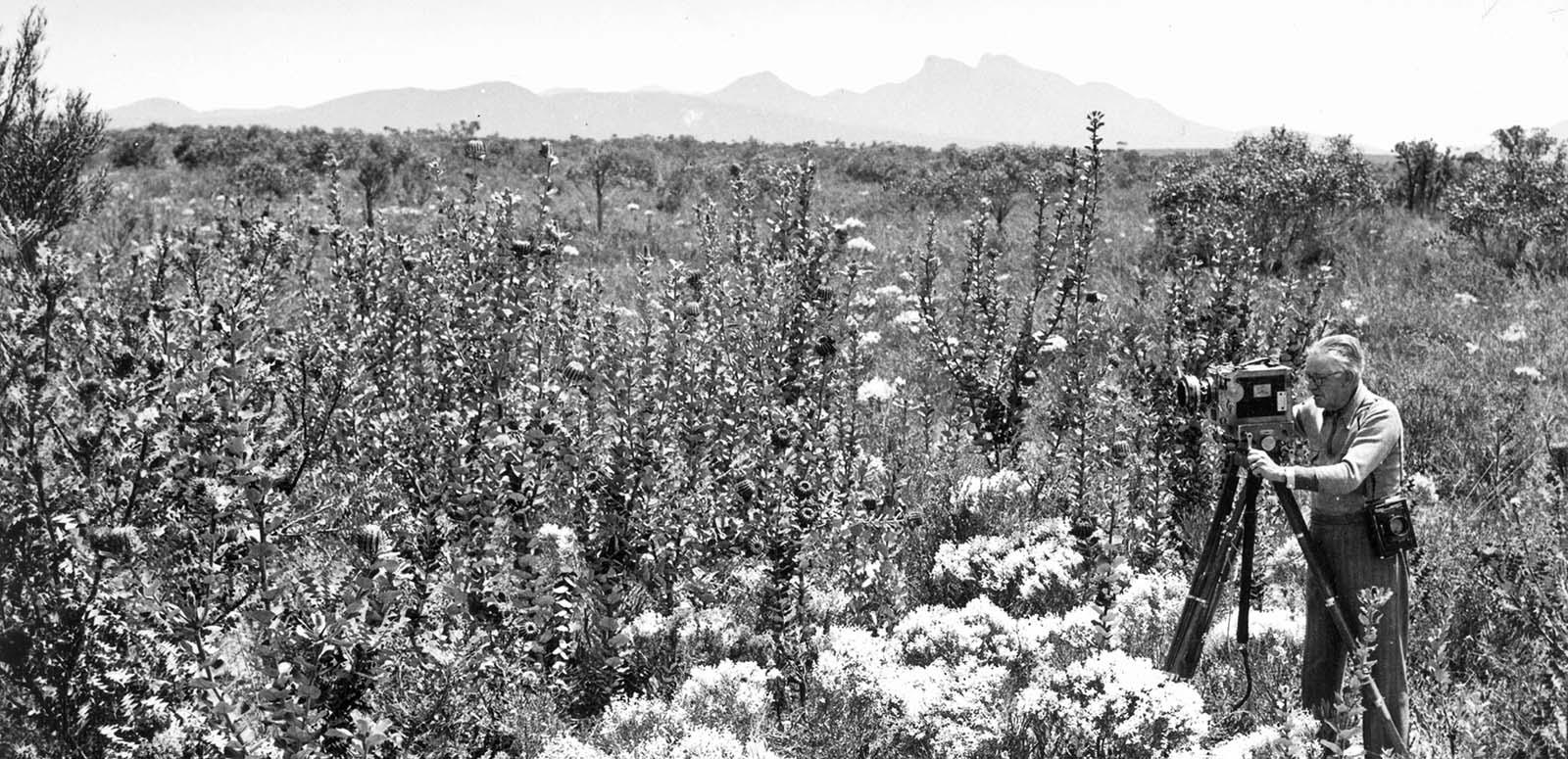 Cinematographer Bert Ive standing in a field of native flowers, behind a camera on a tripod