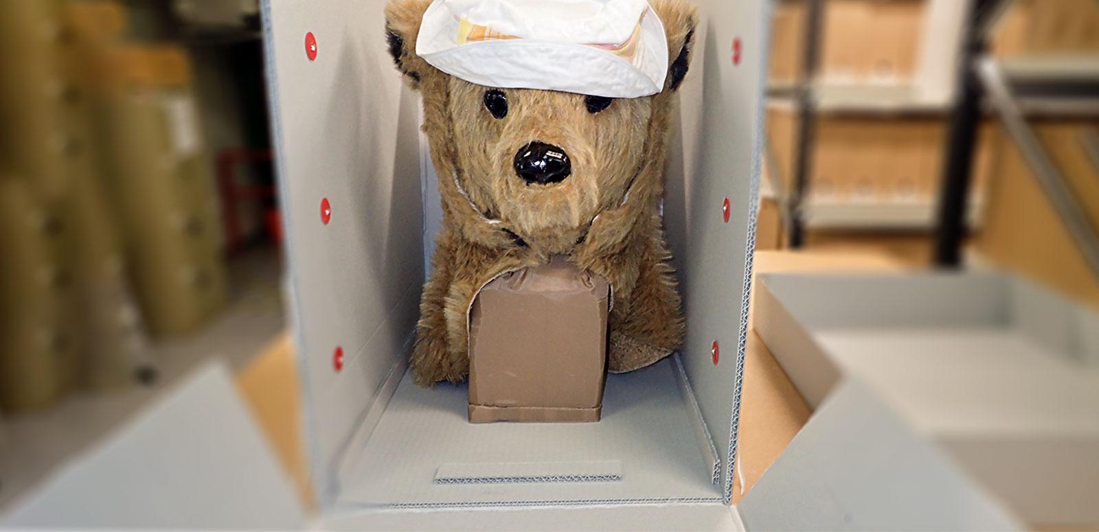 Head from a bear costume inside a conservation box